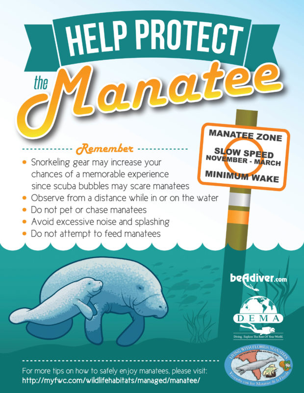 SavetheManateePoster