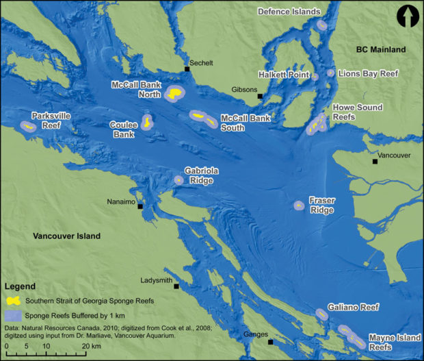 cpaws_spongeReefsSSOG_oct2012_v6