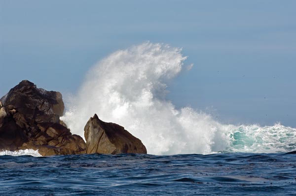 Photo: Carrie Vonderhaar, Ocean Futures Society