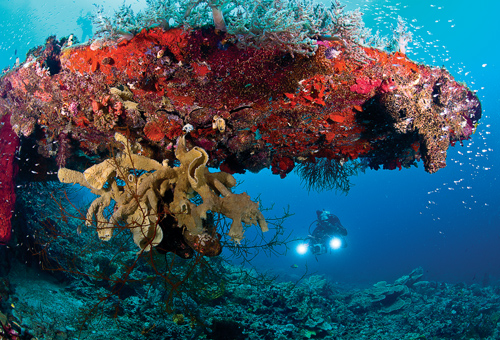 Exploring Indonesia's Ancient Sea - DIVER magazine