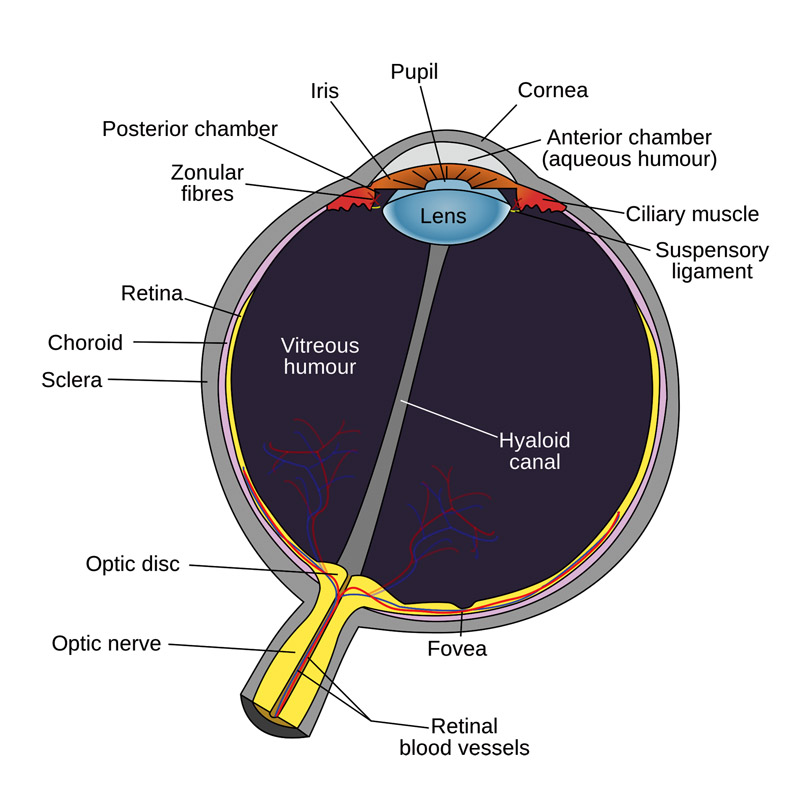 scuba gear diagram