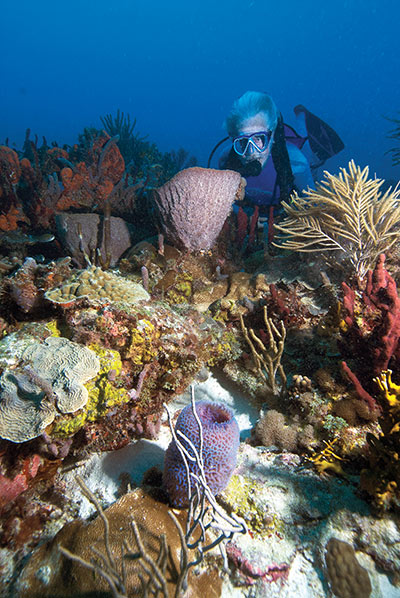 Photo: Richard Murphy, PhD, Ocean Futures Society