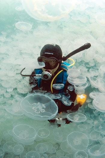 Yuataka-Sasaki-swims-through-a-wall-of-moon-jellies