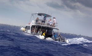 Dealing with seasickness Stormy2