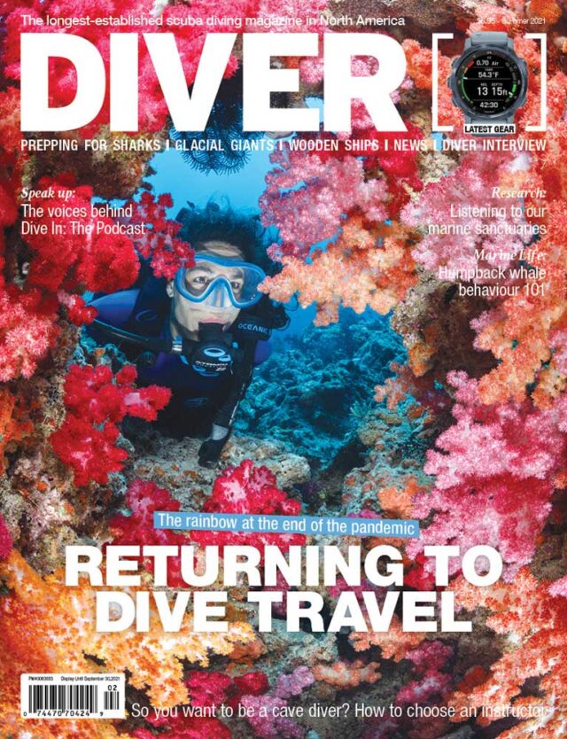 Skin Diver Magazine DIVER magazine