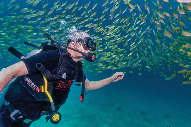 Yoga Fitness for Scuba Diving - Divers Alert Network